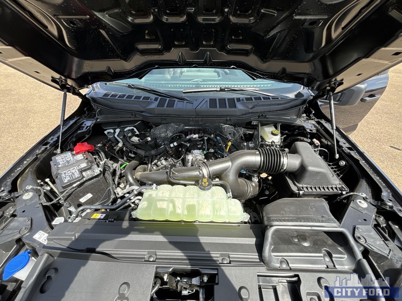new 2025 Ford F-150 car, priced at $60,024