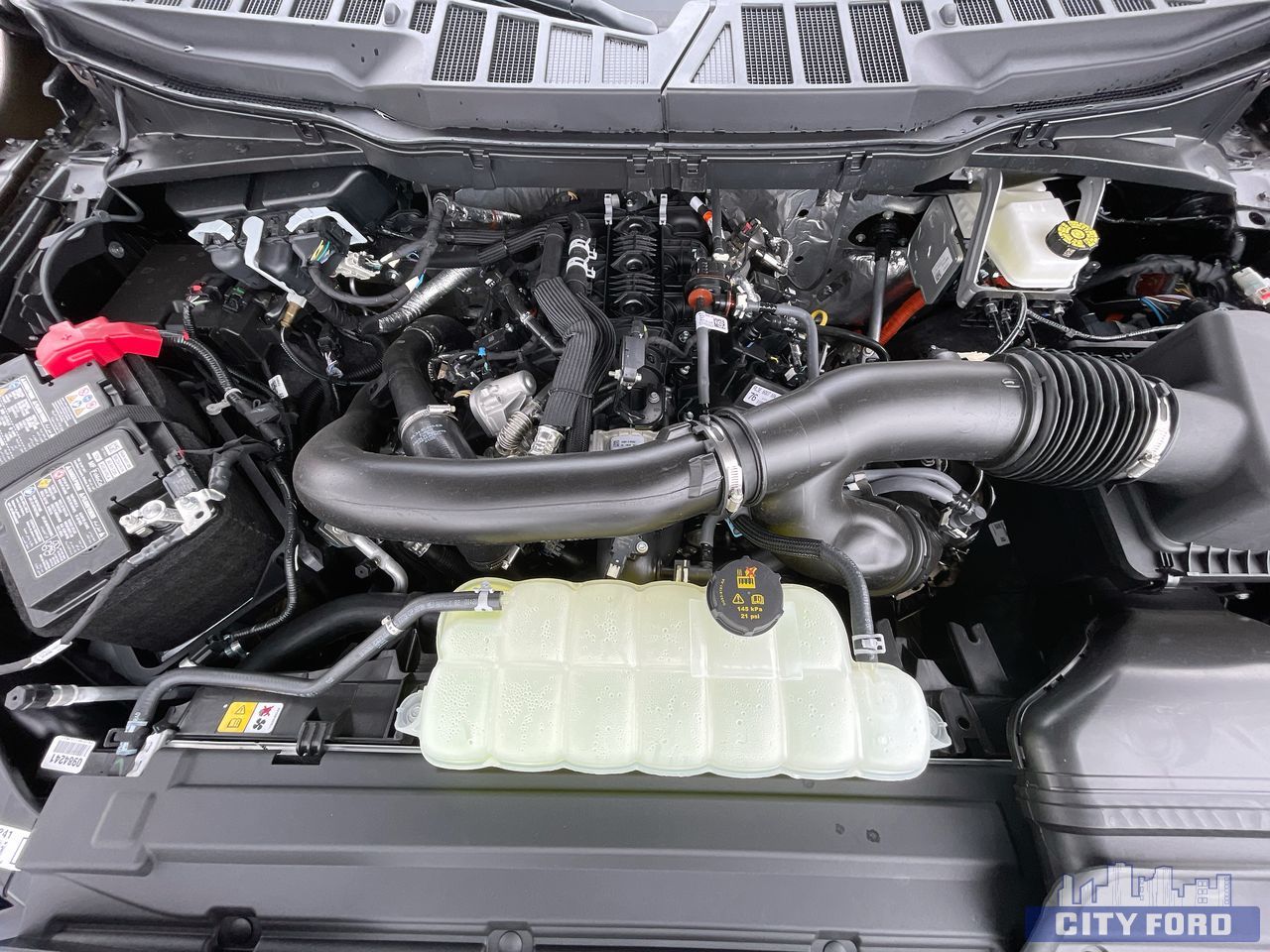 new 2025 Ford F-150 car, priced at $79,419