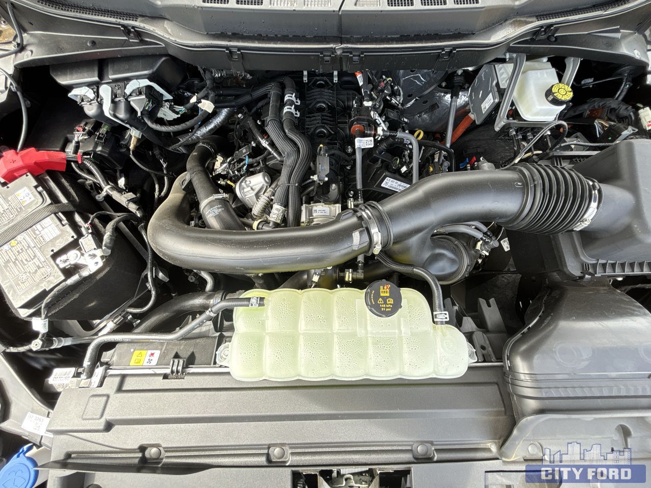 new 2025 Ford F-150 car, priced at $79,419