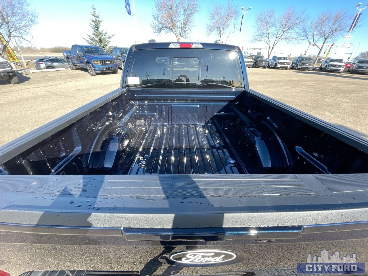 new 2025 Ford F-150 car, priced at $69,959