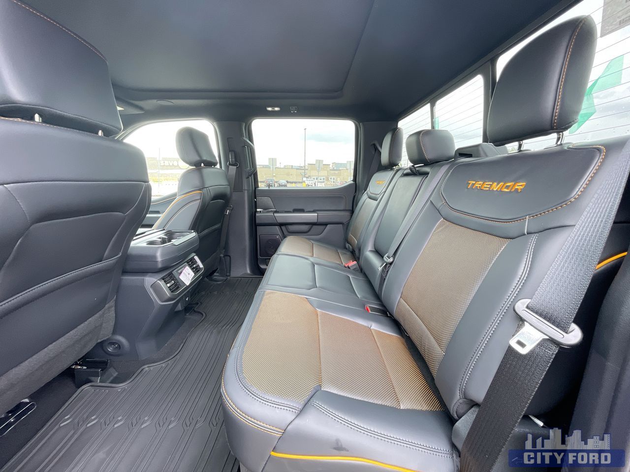 new 2025 Ford F-150 car, priced at $99,215