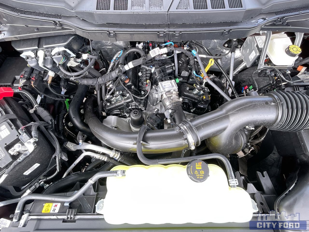 new 2025 Ford F-150 car, priced at $65,999