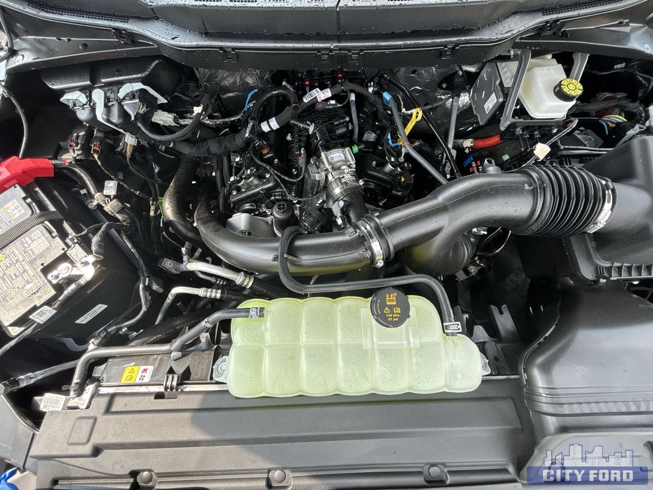 new 2025 Ford F-150 car, priced at $65,534