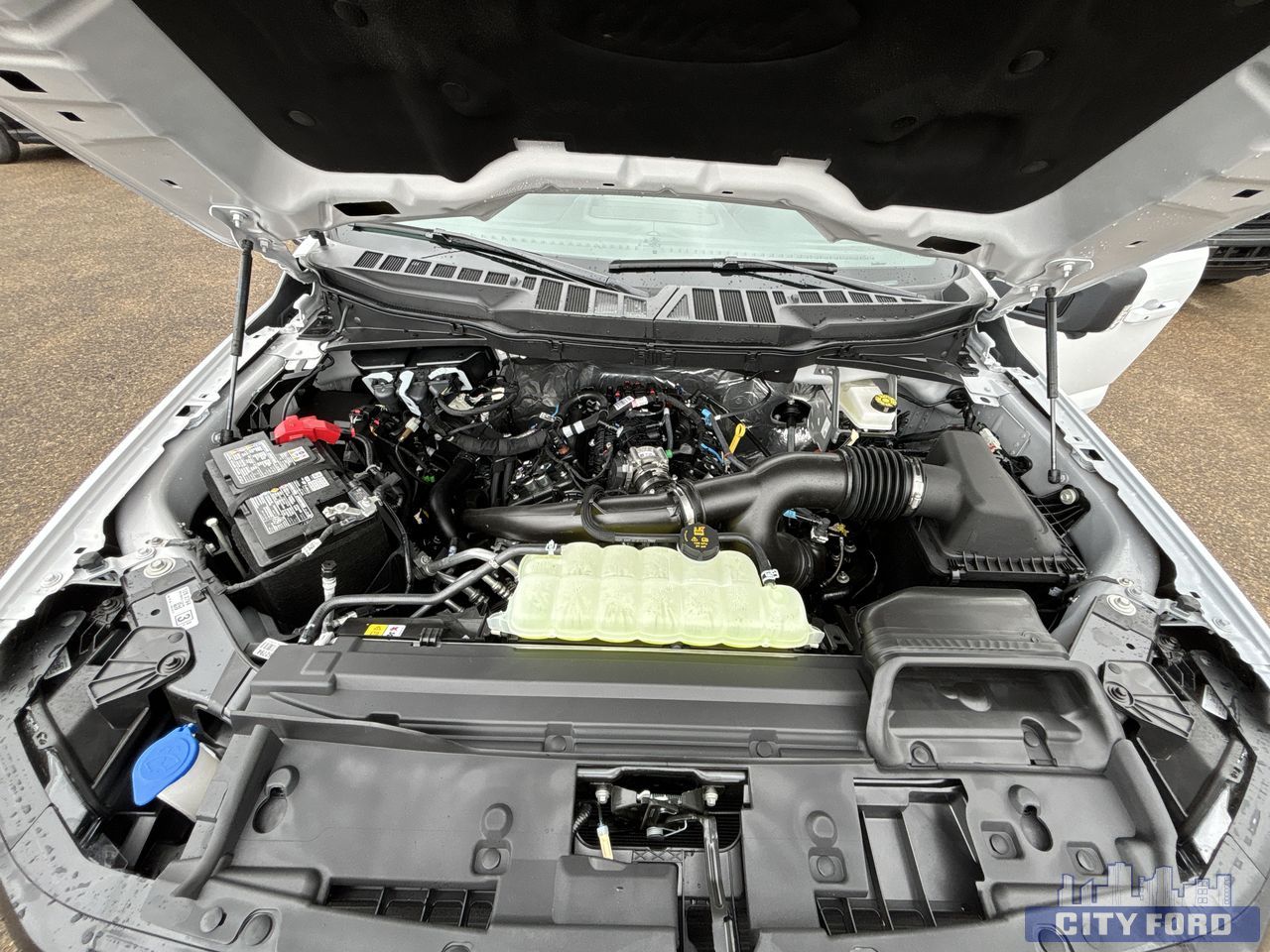 new 2025 Ford F-150 car, priced at $67,499