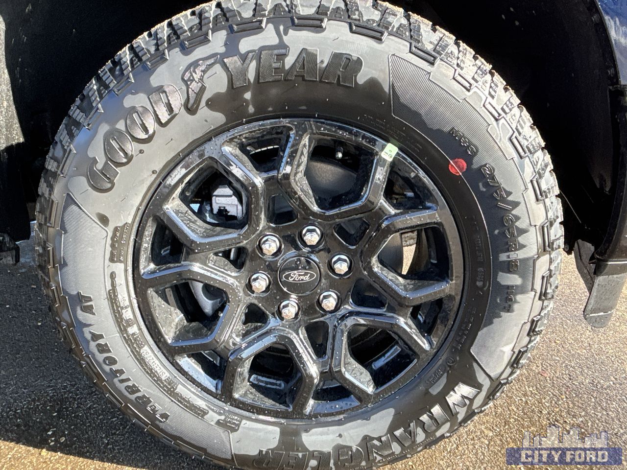 new 2025 Ford F-150 car, priced at $62,319