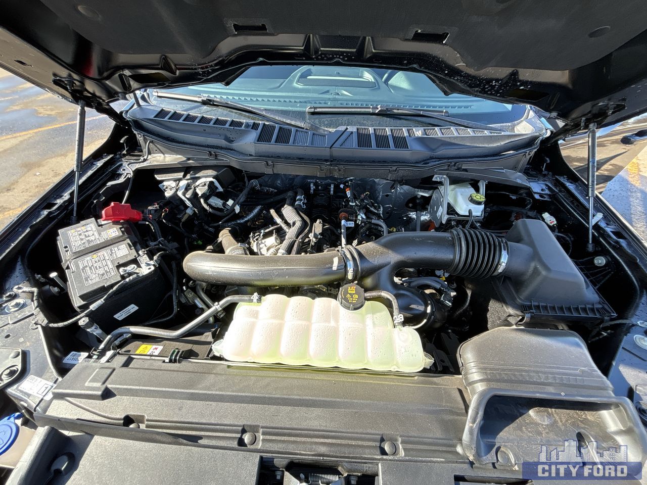 new 2025 Ford F-150 car, priced at $62,319