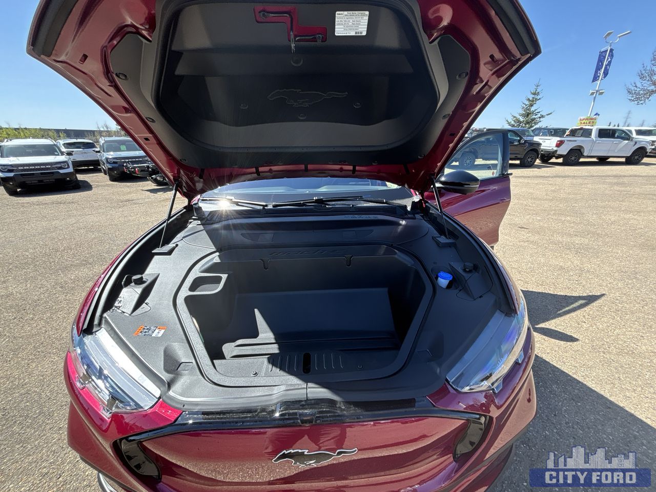 new 2025 Ford Mustang Mach-E car, priced at $69,680